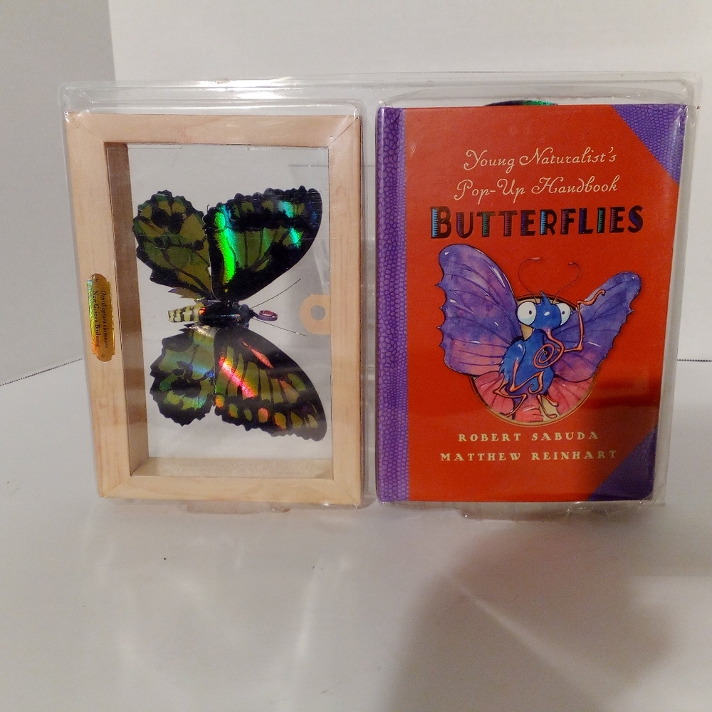 Pop -Up Book of Butterflies